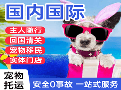 白莲航空快递国际宠物托运 【国